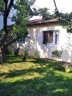 Apartman Nela